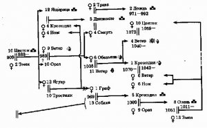 Рис. 8. Схема основных генеалогических линий в кодексе Бодли (с. 25—40)