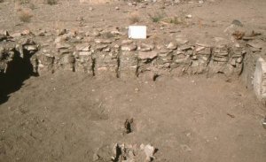 Архивные фотографии, где показаны найденные археологами остатки каменной кладки (слева) стены здания в Маунтэйн Лайон Хэмлит. За той кладкой была обнаружена стена из хакаля (справа), заполненного землей каркаса из прутьев.