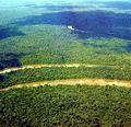 Река Касикьяре петляет по густым тропическим лесам. Большое количество богатого минеральными веществами ила окрашивает ее воды в желтовато-белый цвет. Касикъяре и другие так называемые «белые» реки богаты питательными веществами, которые служат пищей бесчисленным насекомым