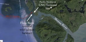 Индейцы и экологи через суд хотят закрыть СПГ-проект Petronas в Британской Колумбии