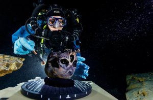 Водолазы изучают череп Найи и создают трехмерную модель при помощи подводных сканеров. Фото: Paul Nicklen / National Geographic