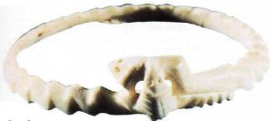 Этот браслет вырезан из раковины глинимерис, привезенной, вероятно, с побережья Калифорнийского залива. Он является от­ражением того интереса, который хохокамы испытывали к змеям. Археолог Эмиль Хаури был ошеломлен невероятной тонко­стью исполнения " подобных артефактов, которые обычно встречаются в погребени­ях с кремацией.