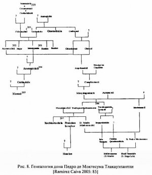 Рис. 8. Генеалогия дона Педро де Моктесума Тлакауэпантли [Ramirez Caiva 2005: 85]