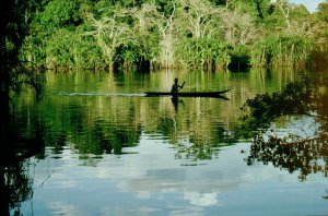 Плотная амазонская растительность затрудняет нанесение на карту того, что скрыто под листьями. Фото: surtrek.org