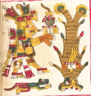 Синтеотль. «Кодекс Борджиа», с. 14 (Codex Borgia …).